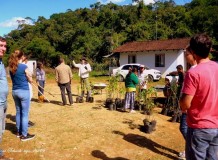 Comunidades Guarani e luterana realizam plantio de árvores nativas em Santa Catarina